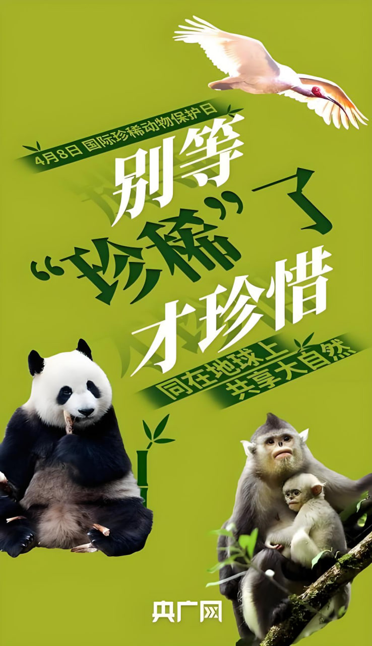 恋爱漫画1